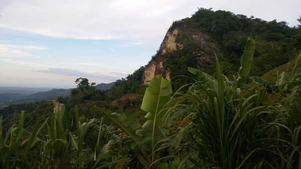 Dominican Blue Amber MInes, Amber for sale online